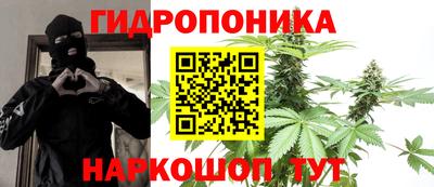 мяу мяу мука Гусь-Хрустальный