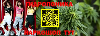 мяу мяу мука Гусь-Хрустальный