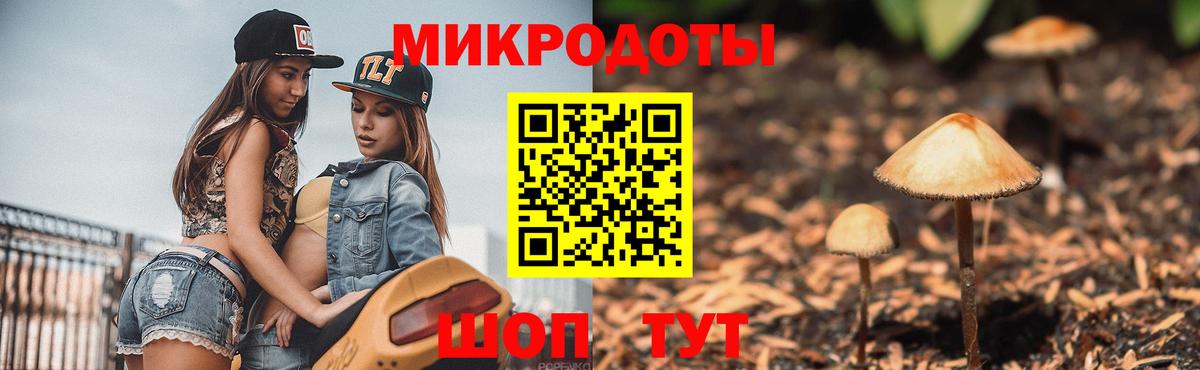 Псилоцибиновые грибы GOLDEN TEACHER Моздок